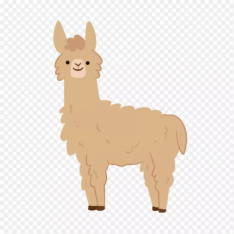 ����Ĳ���������ز�-������