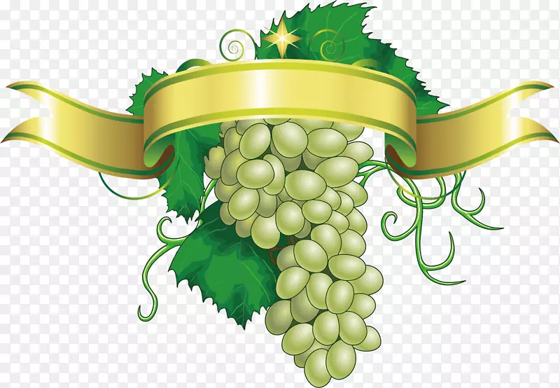 ��ͨ�ֻ����ѱ�ʶʸ��Ԫ��-������