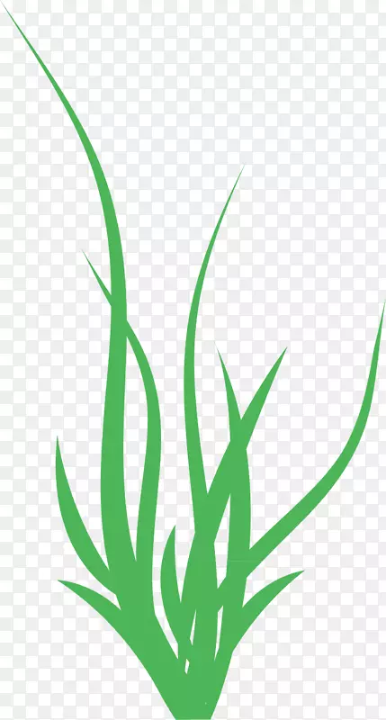 С�������Ƹ��С��-������