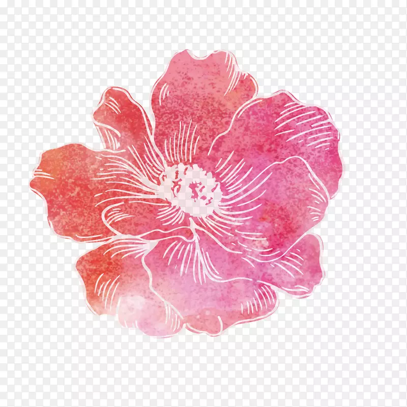 �ֻ滨������ز�-������