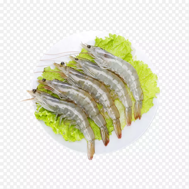 ��Ʒʵ��ʳ��ԭ�����˱�Ϻ-������