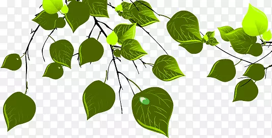 ������֦����ʸ���ز�-������