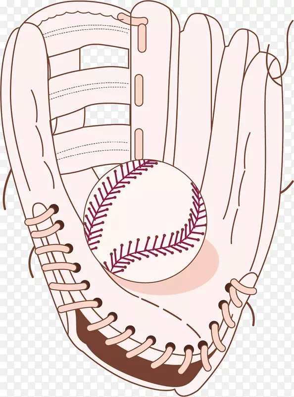 ��ɫƤ��ʸ����������-������