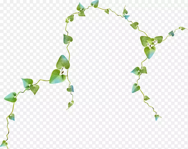 �ٲ�-������