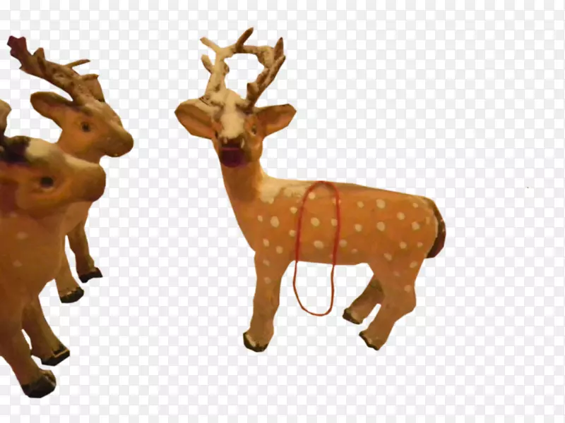 ѱ¹¹�ǵ���½������ѱ¹-������