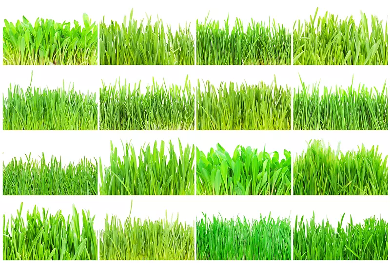 �����̲���Ӱ-������