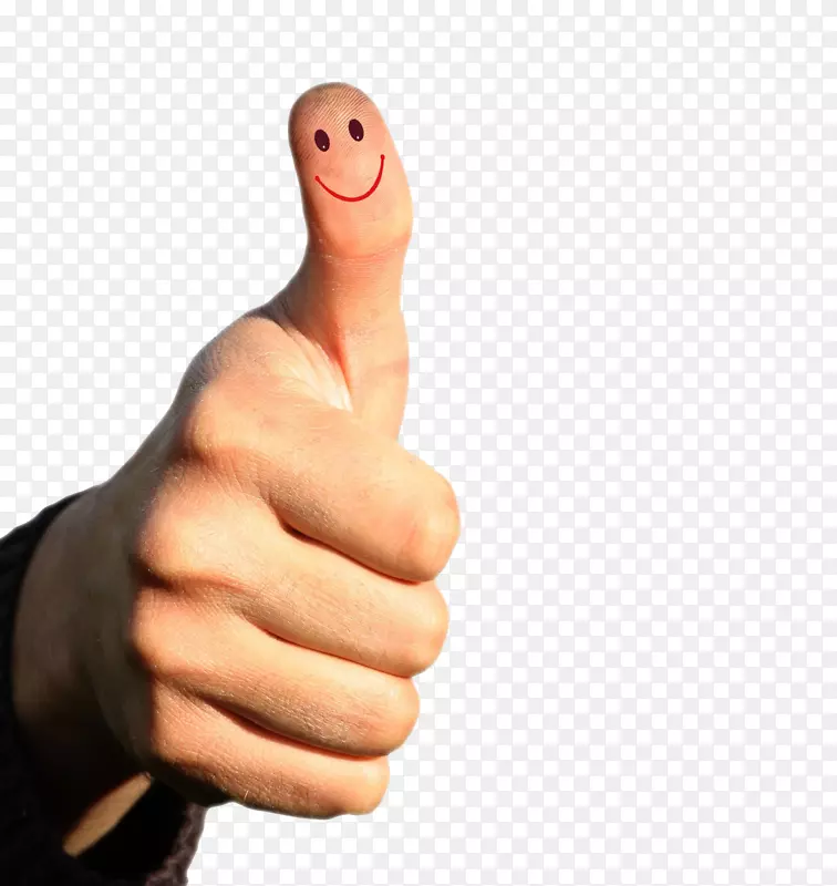 Ц��������ָ-������