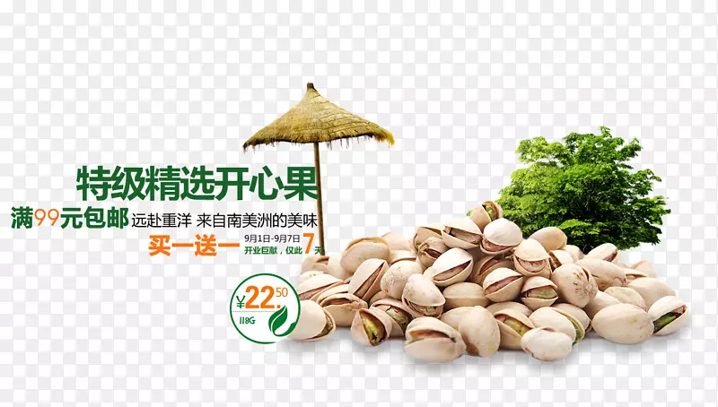 �ؼ���ѡ���Ĺ�-������