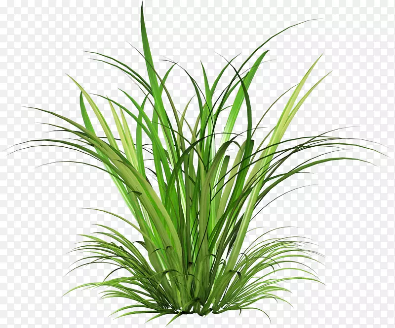 ������������ɫͯ����-������