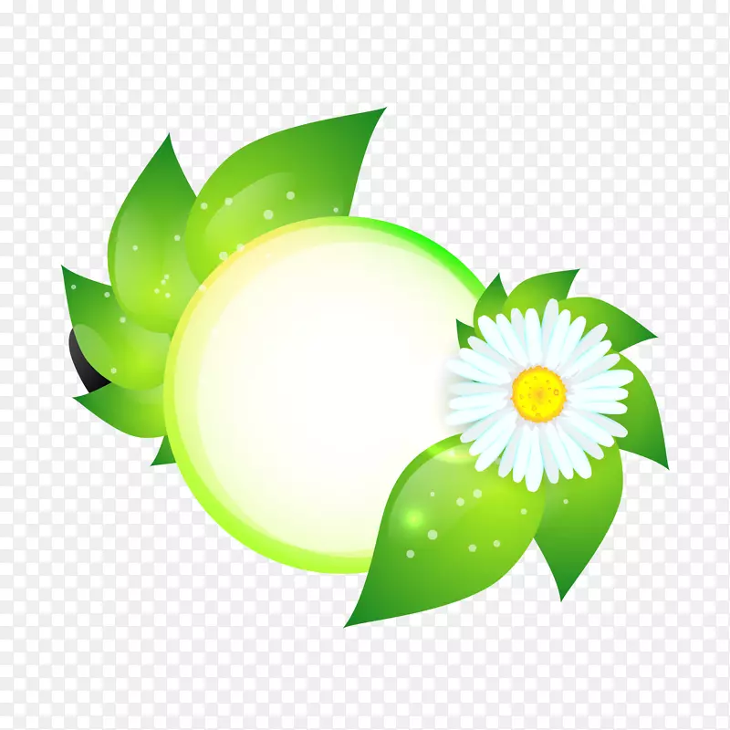 ���±߿�-������