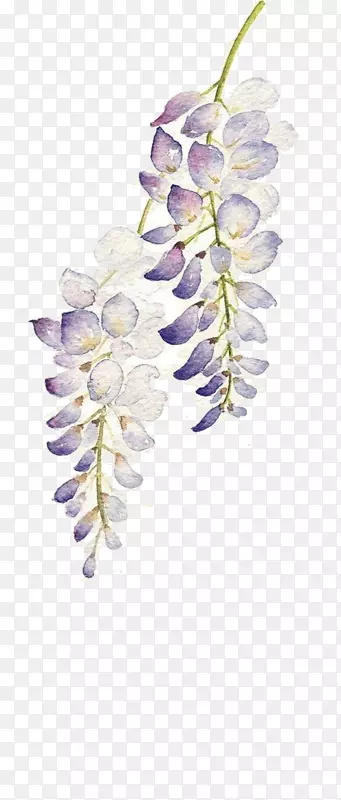 �ֻ����ٻ�-������