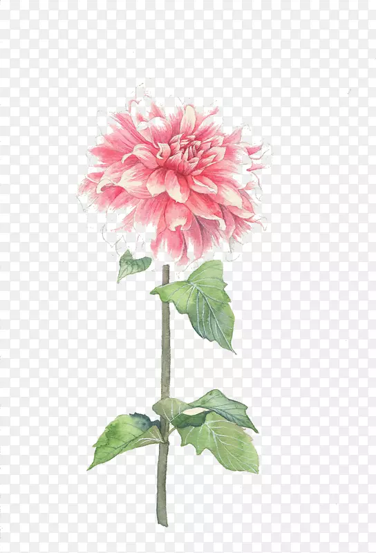 �ֻ������-������