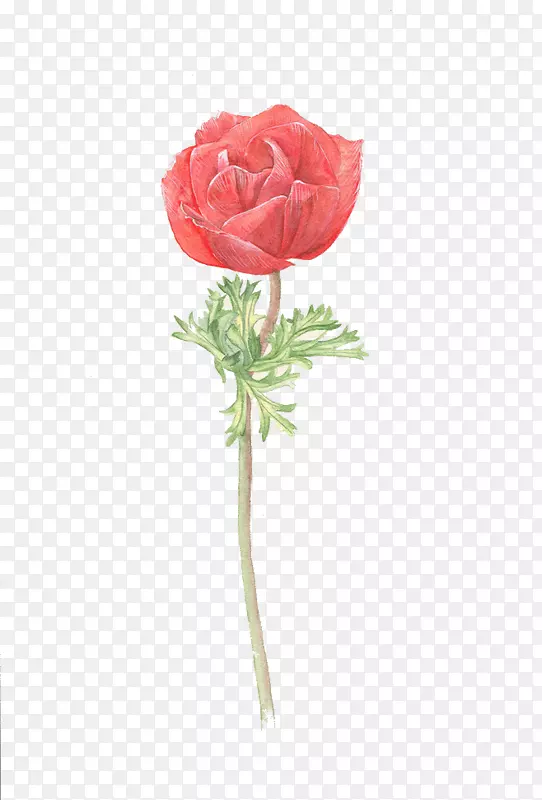 �ֻ�������-������