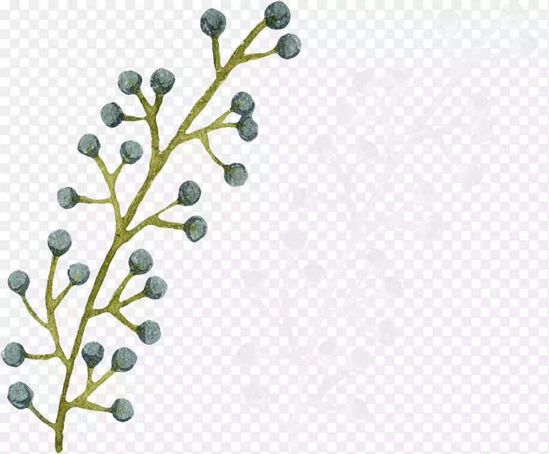 С���¹���ֲ��廭�ز�-������