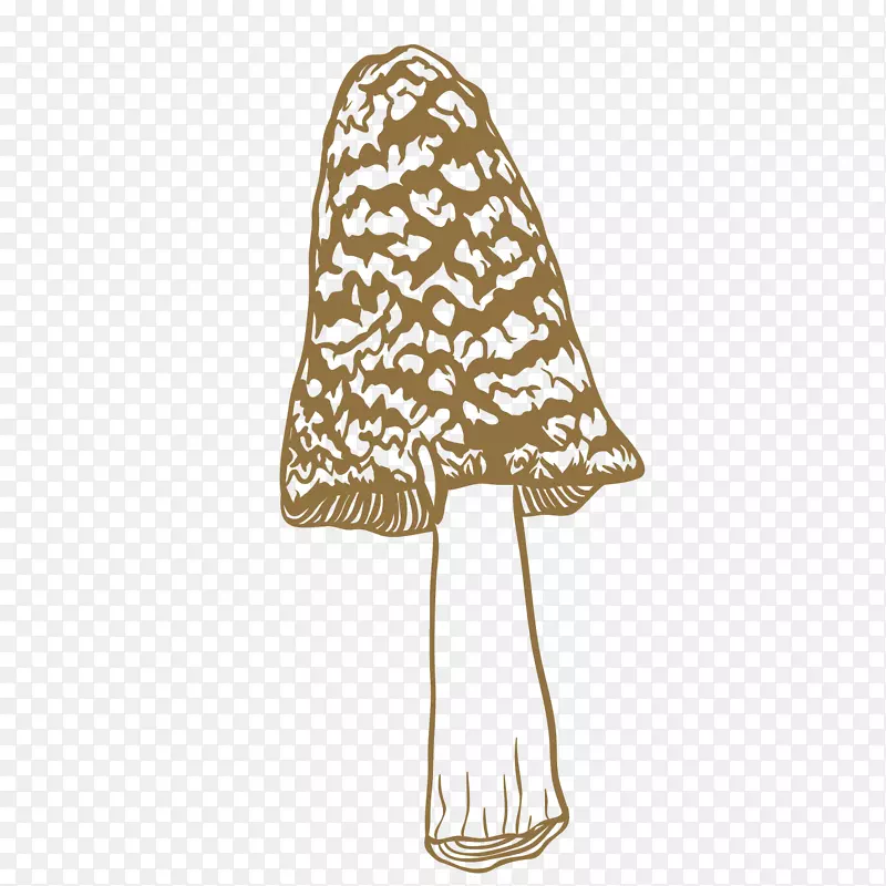 ��ͨ��Ǿ�����ز�-������