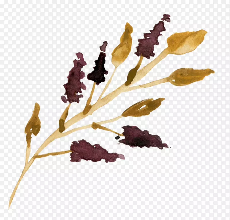 ��Ҷ-������