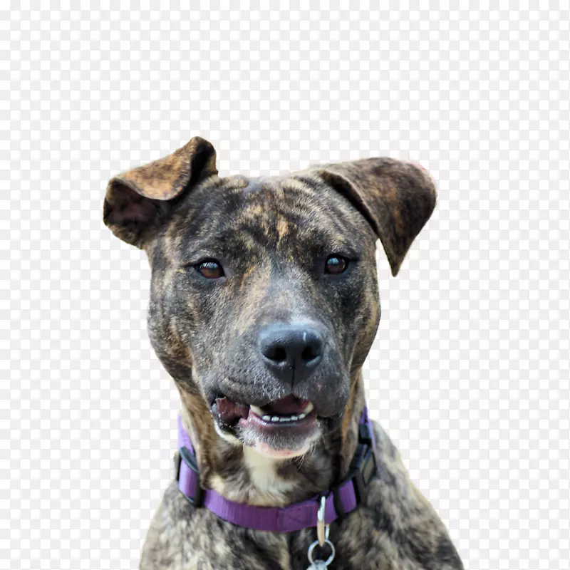 �ֻ�ͼƬ�ֻ涯��ͼƬ-������