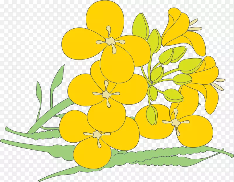 ��ɫʸ�����㻨���Ͳ˻�-������