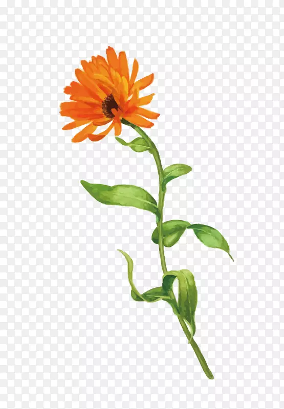 ʸ������-������