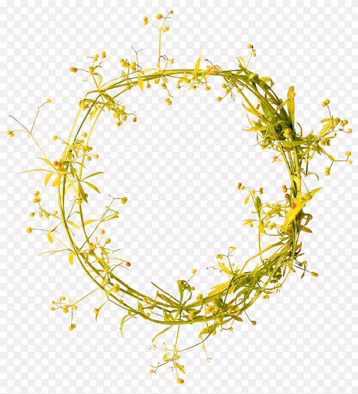 ��ɫƯ������-������