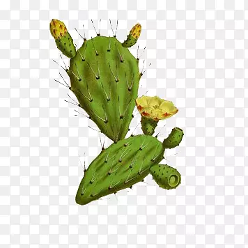 �ֻ濪����������-������