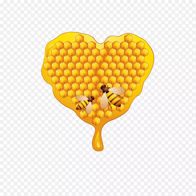 �䳲-������