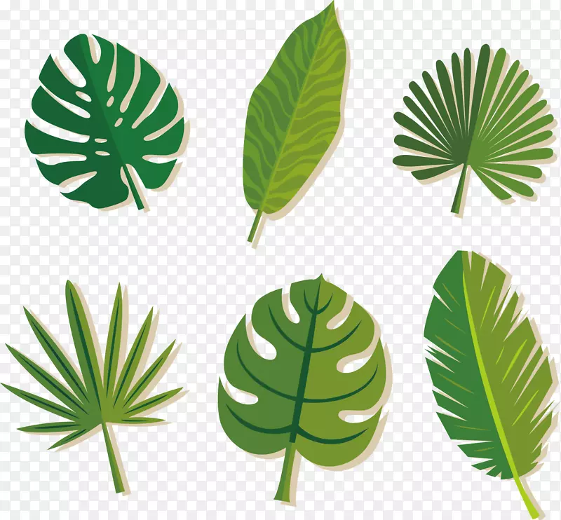 ������Ҷʸ��ͼ-������