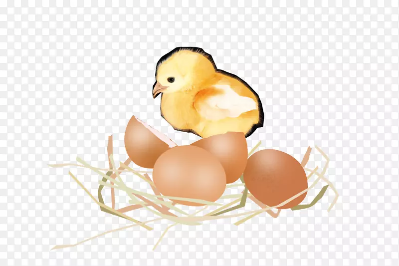 �ƿ�С��-������