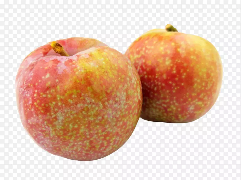 ��������Ӱ-������