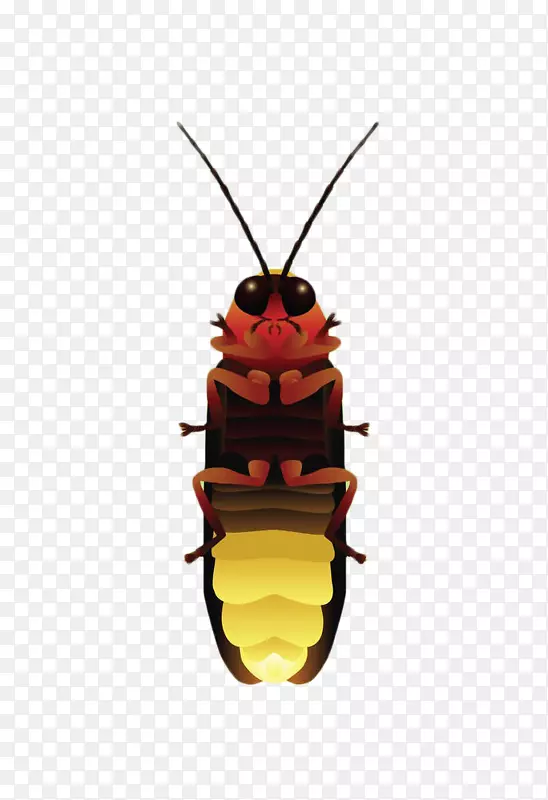 ��ɫө���-������