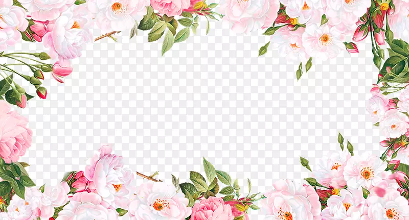 С����õ�廨�߿������-������