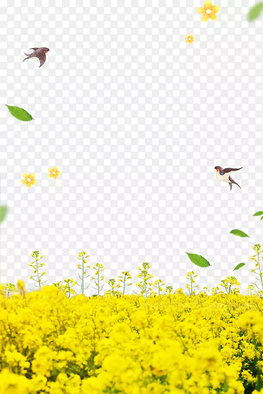 �������Ͳ˻�����߿�-������