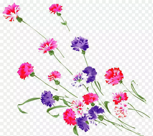 ��ͨ�ֻ��ɫ����-������