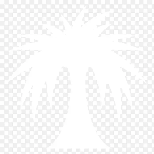 Լ�����ս�˹��ѧ�����ʼ����������Ϣ��Ȫ-������