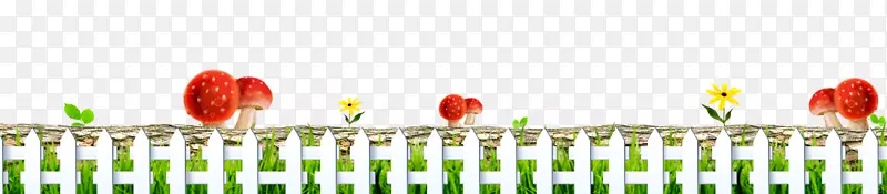 ��ͨ�ֻ�������������-������