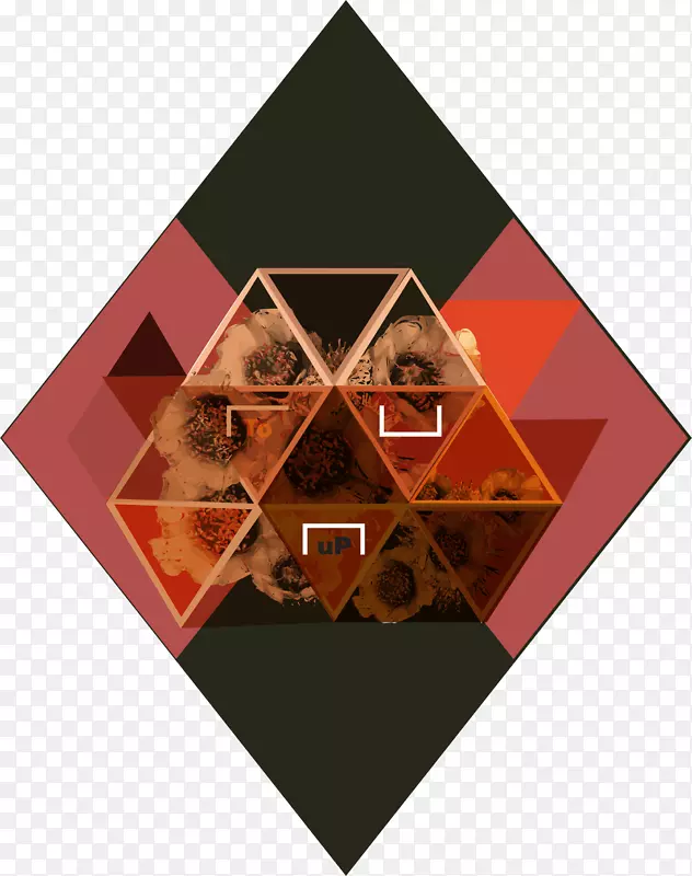 ���������η�װͼ��-������