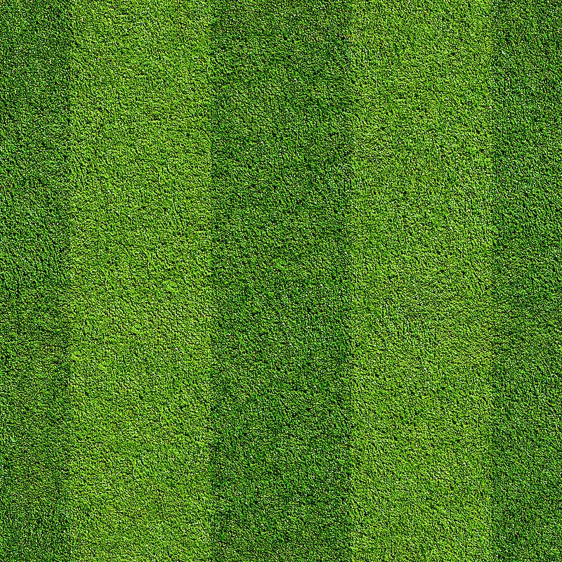 ��ɫ�ݵر���-������