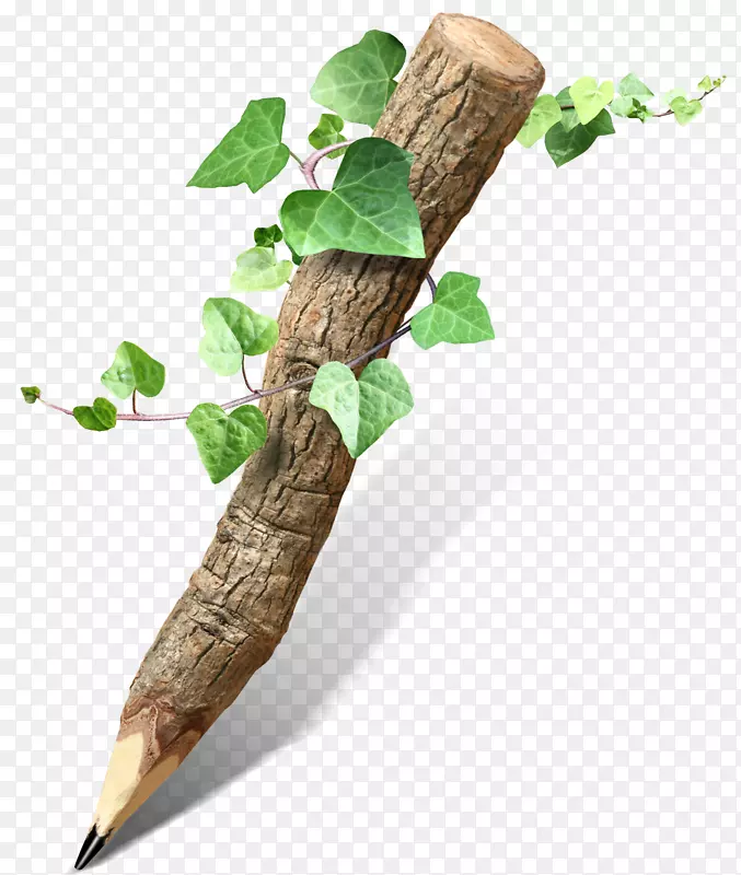 ����Ǧ���ز�-������