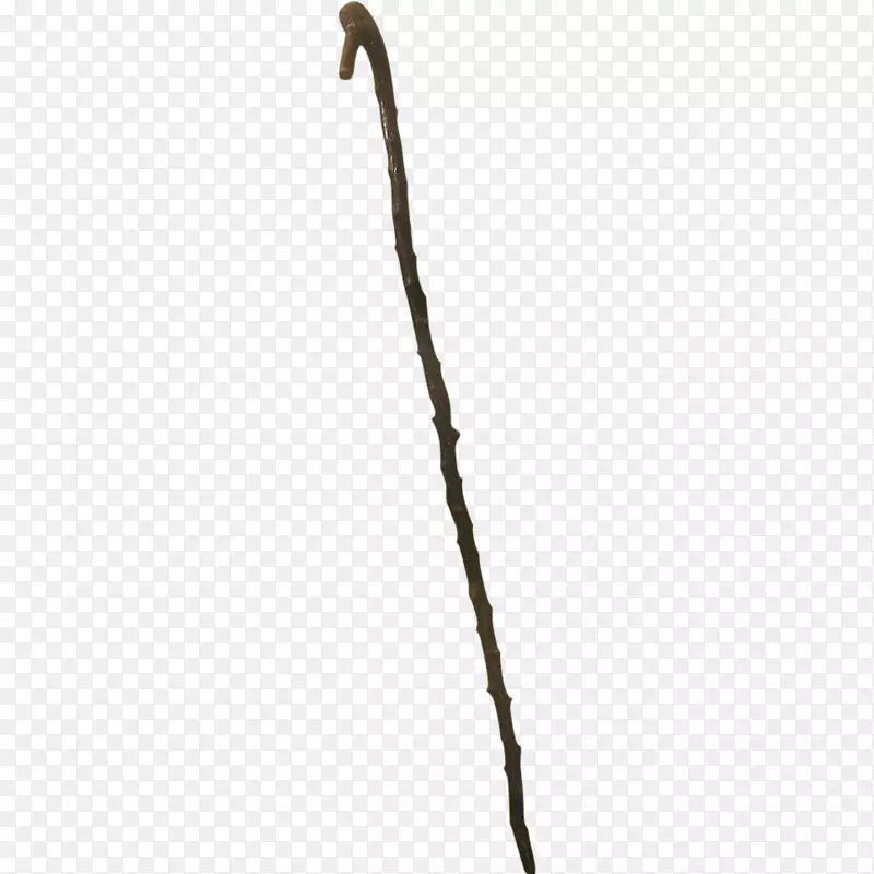 ֦������֦��ֲ�ﾥ-֦-������