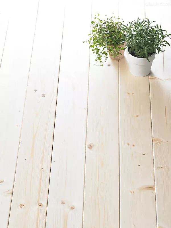 ��ɫ�ذ�����ɫֲ�ﺣ������-������