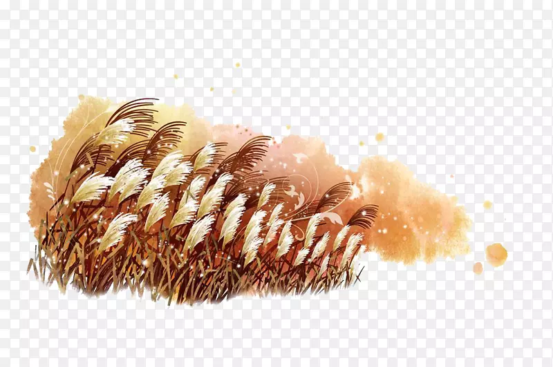 «έ��Ψ��ˮ�ʻ�-������