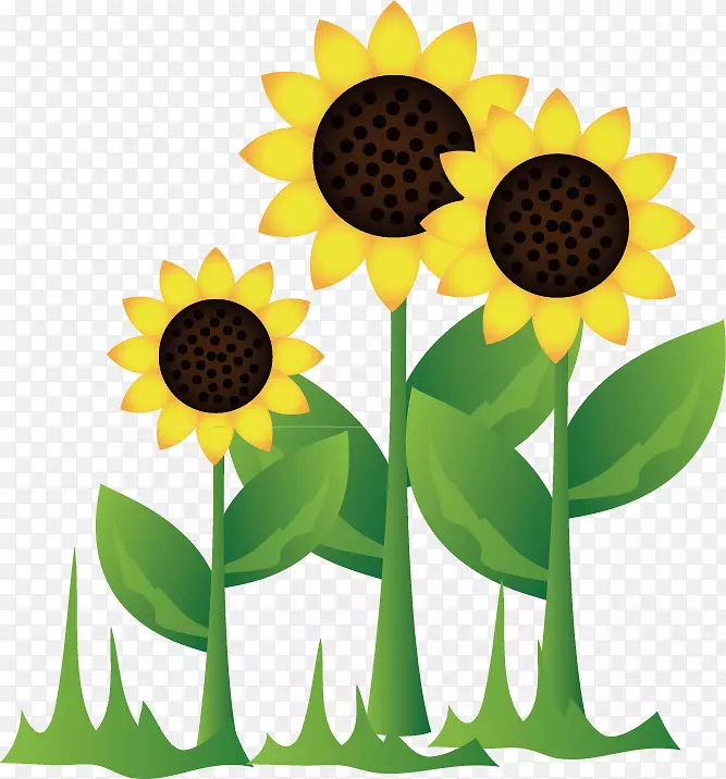 ʸ��ʱ������ٿƱ�ƽ���ز�-������