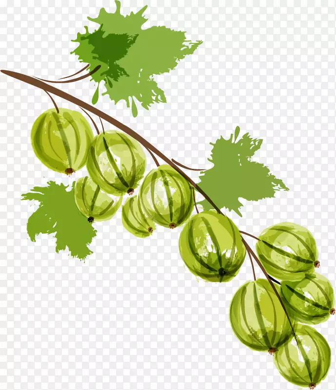 ���ˮ��PNGʸ���ز�-������