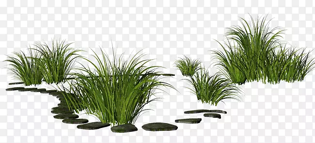 ����С��png�ز�-������