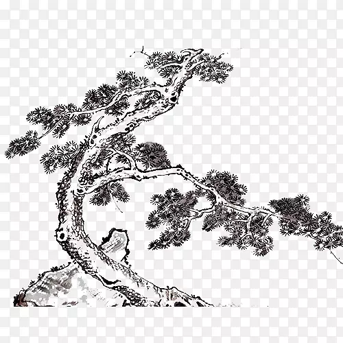 ˮī���ֻ����-������