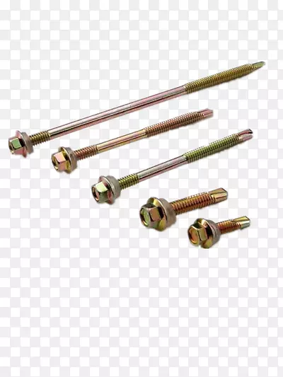 ��˿���-������