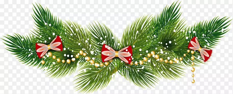 ʥ��������֦���-������