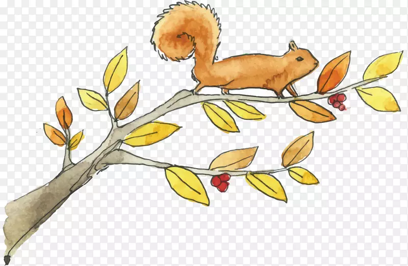 �ֻ��������֦����-������