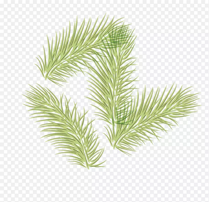 �ֻ�������֦ʸ���ز�-������