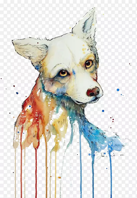 ������ɫ-������